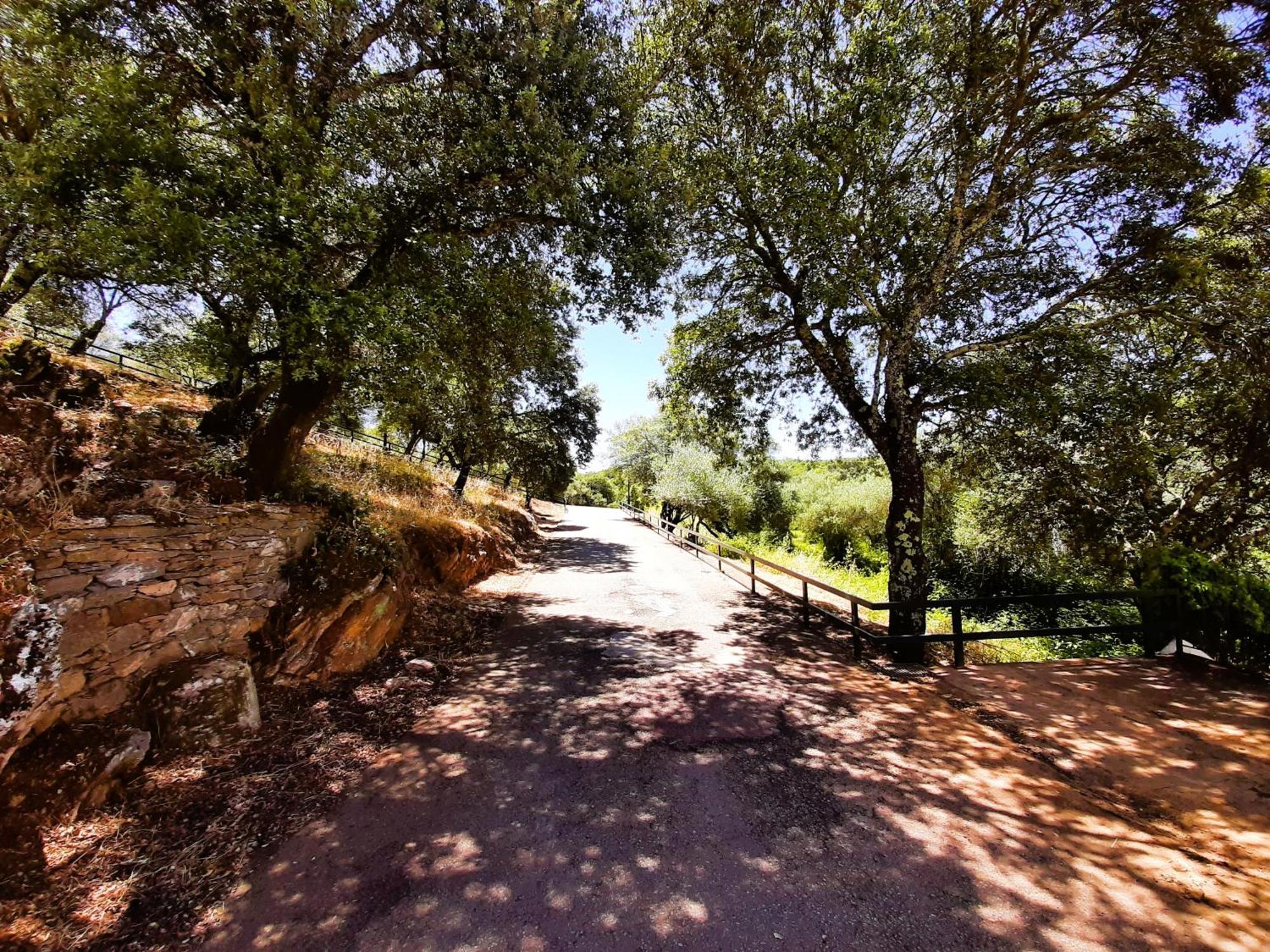 Casa Rural Gurumelo Aracena Exterior photo